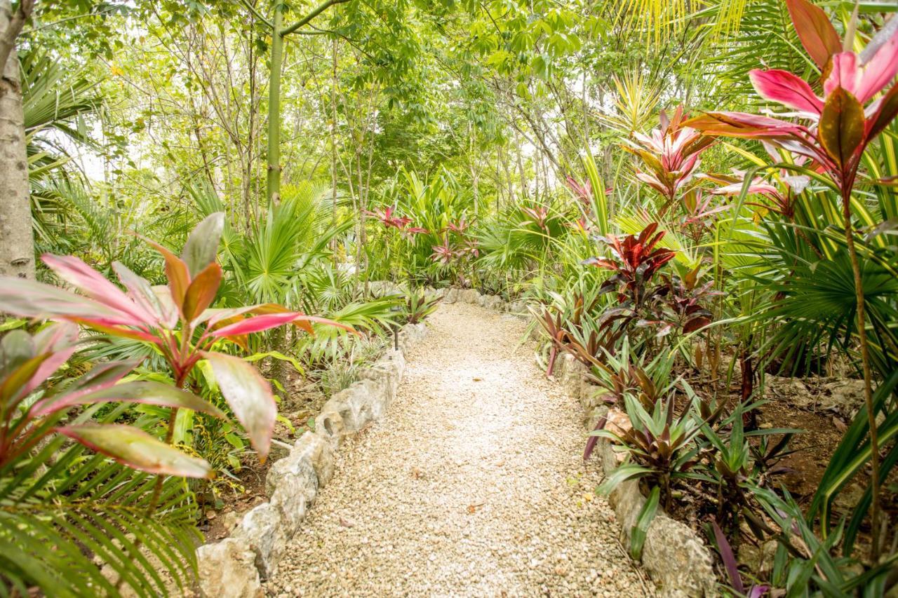 Aldea Jo-Yah Villa Tulum Exteriör bild