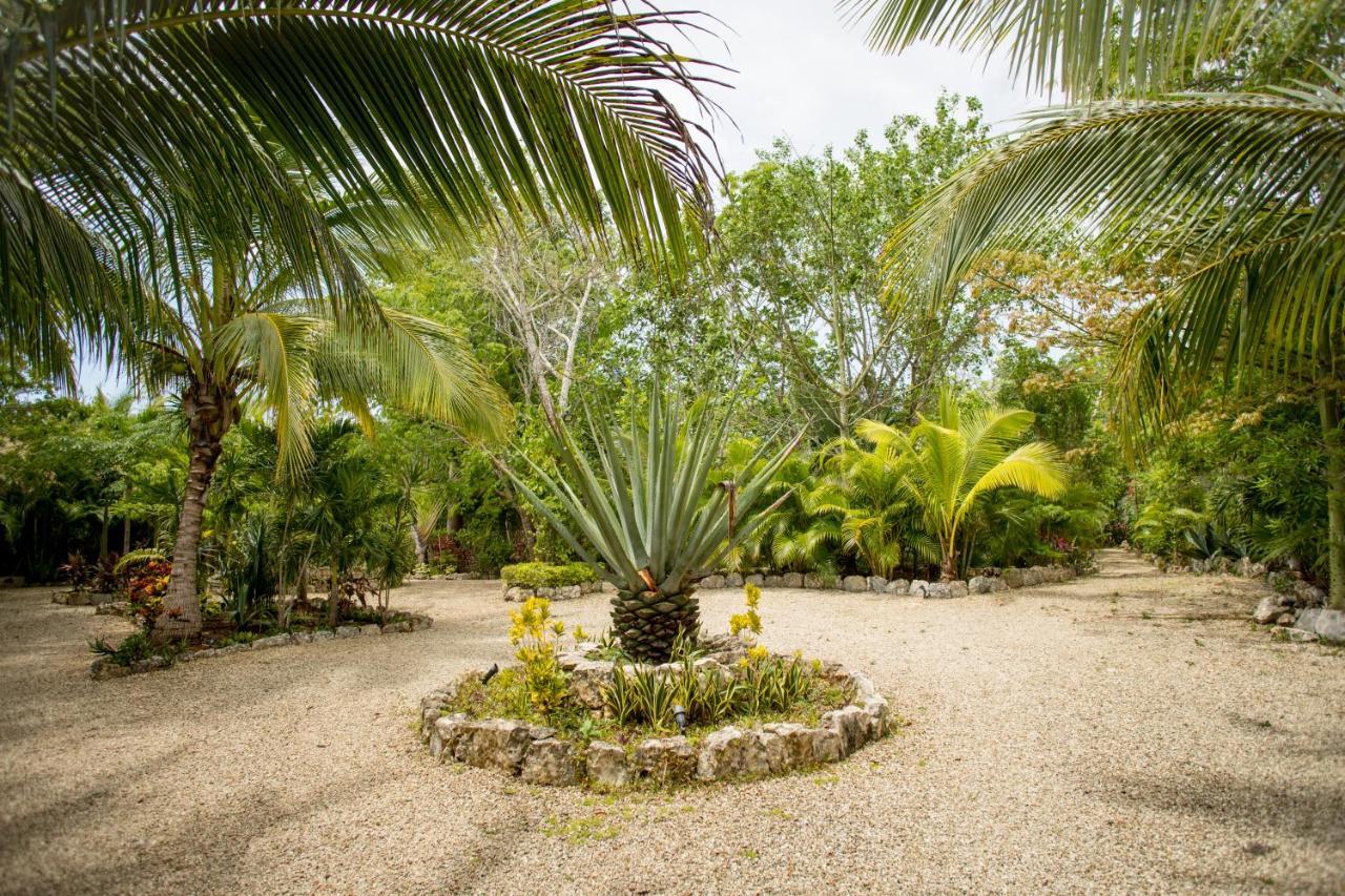 Aldea Jo-Yah Villa Tulum Exteriör bild